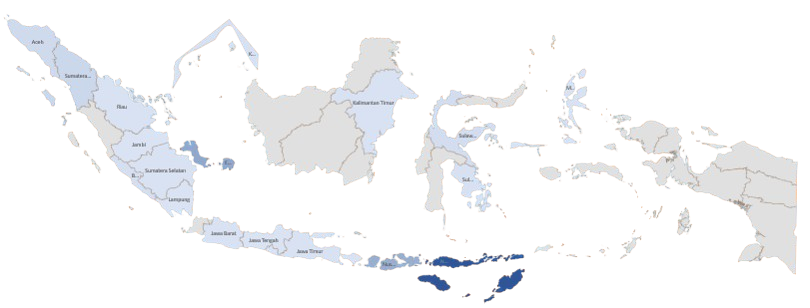 Indonesia Network